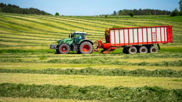 Podwójny rekord Polski z mieszanką poplonową Landsberska - siła tradycji w nowoczesnym wydaniu DLF